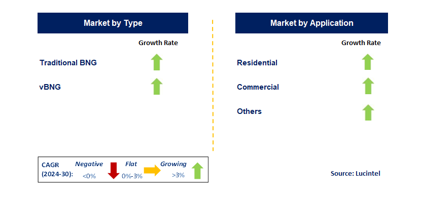 Broadband Network Gateway by Segment